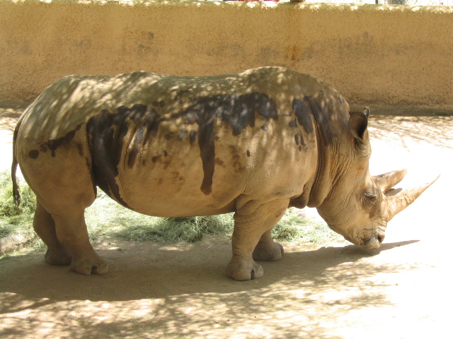 618x457 pixels (185K)